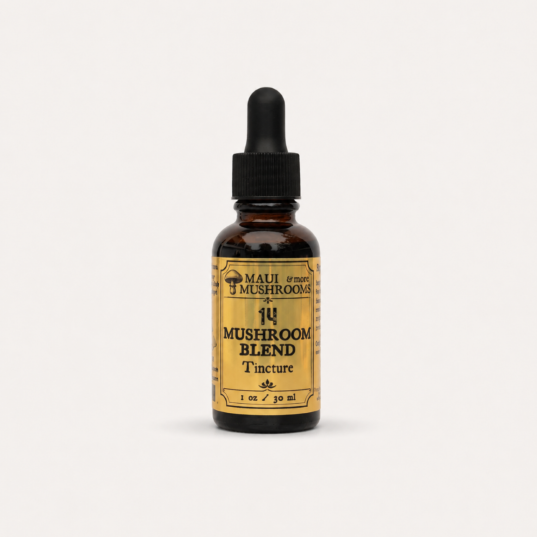 14 Mushroom Blend Tincture – Dual + Ultrasonic Extract for Full-Spectrum Wellness