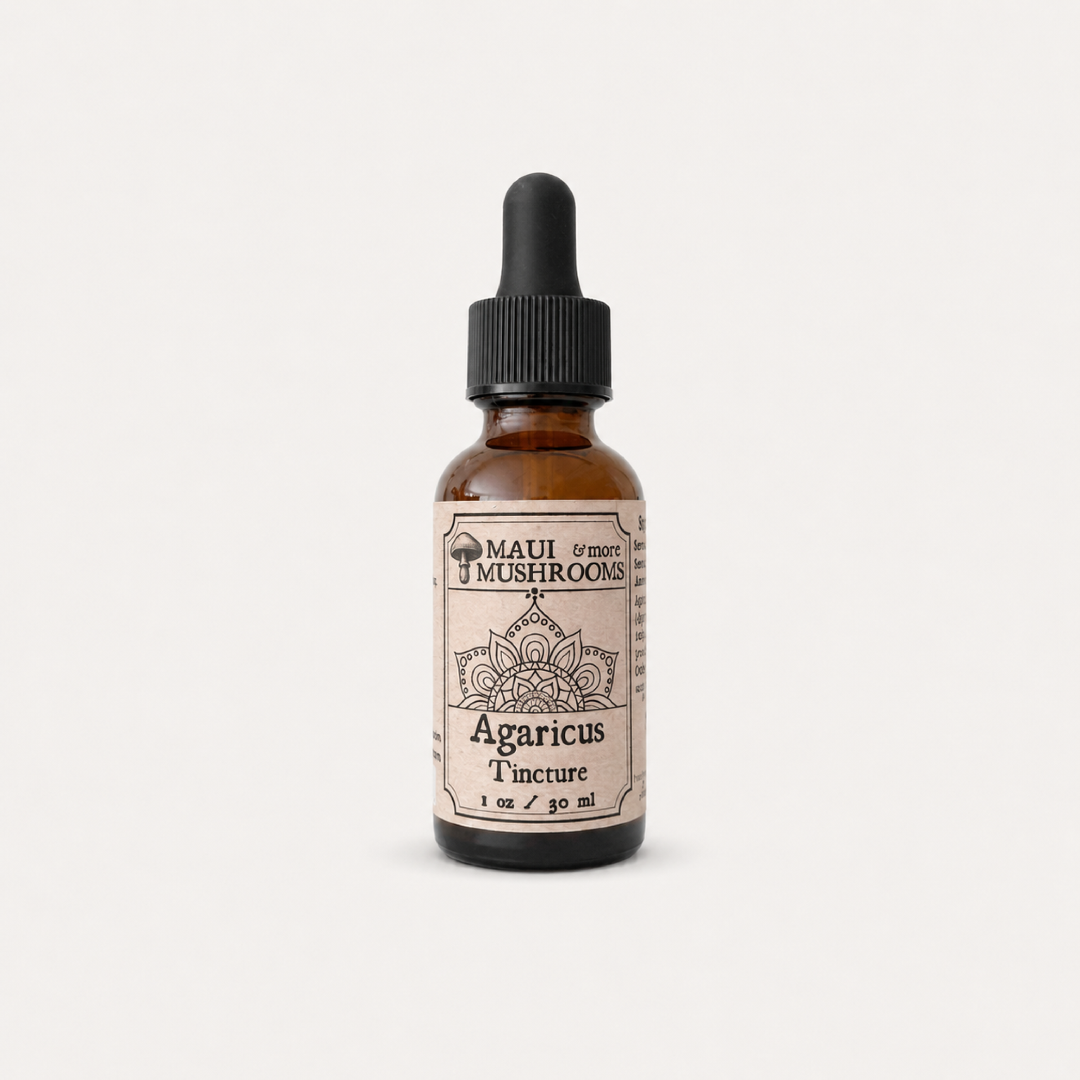 Agaricus Blazei Tincture – Dual + Ultrasonic Extract for Immune Balance & Vitality