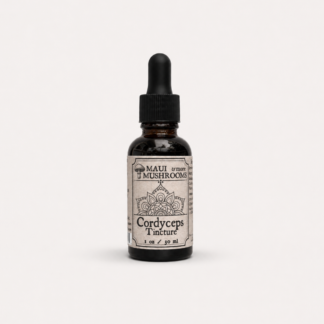 Cordyceps Tincture – Dual + Ultrasonic Extract for Natural Energy & Vitality