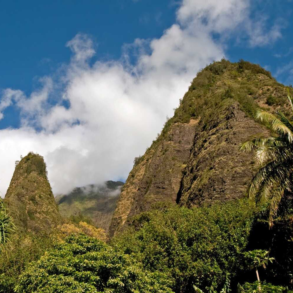 Tropical landscape with mountains, trees, and a clear blue sky.