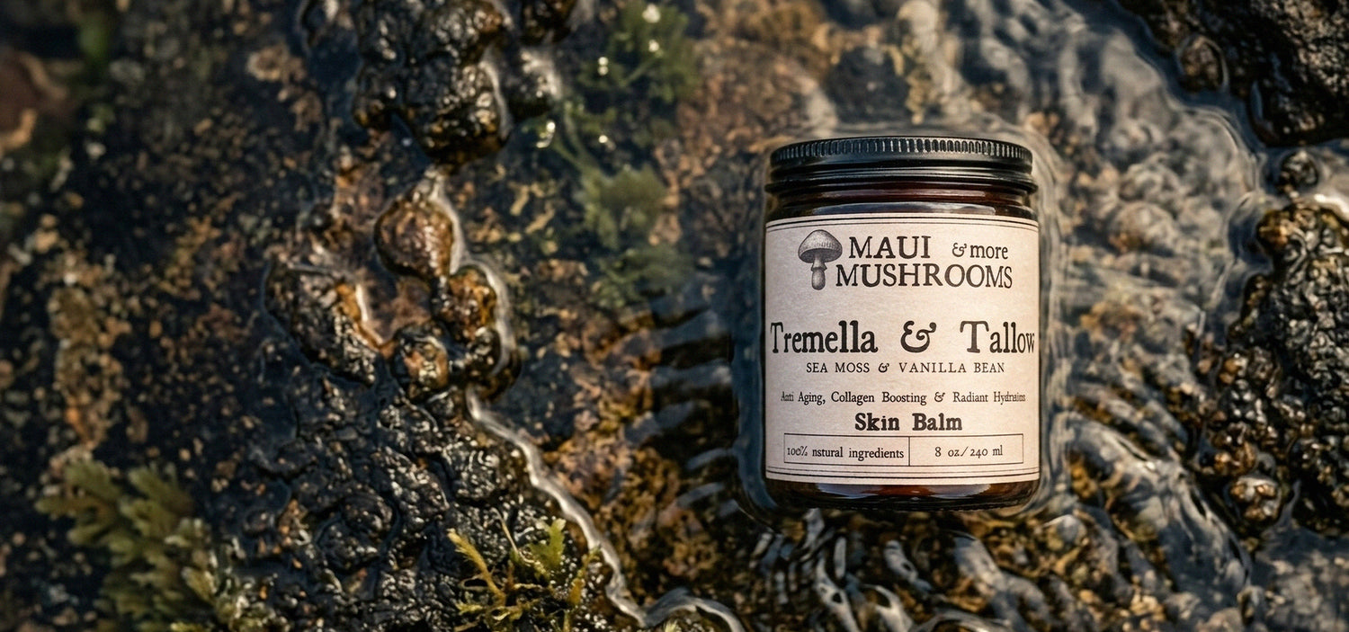 Maui Mushrooms & More