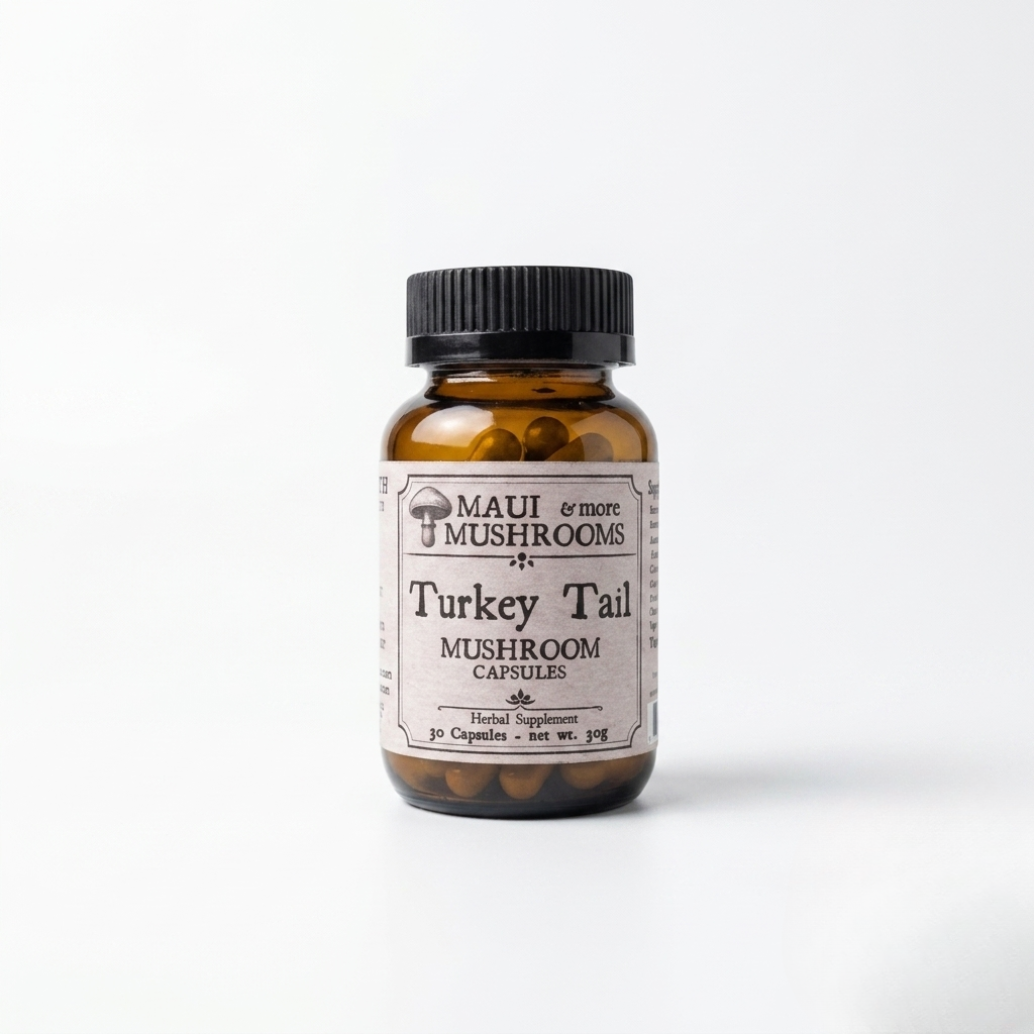 Turkey Tail Capsules – Immune & Gut Support From 100% Fruiting Bodies